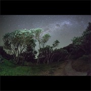 Esben and the Witch- Older Terrors