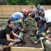 Doing Community Service