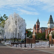 Toomer's Corner