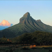 Mauritius: Piton De La Petite Rivière Noire (2,717 Ft)