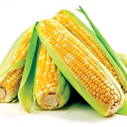 Sweet Corn