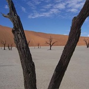 Walking Through Bizarre Dead Vleis, Namibia
