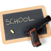 Survived a School Shooting