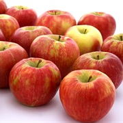 Honeycrisp Apple: Minnesota