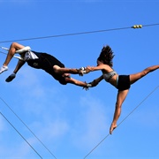 Fly on a Trapeze