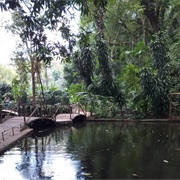 Jardín Botánico La Laguna, El Salvador