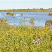 Hamden Slough National Wildlife Refuge