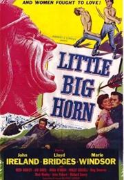 Little Big Horn (Warren)