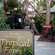 Key West Botanical Forest and Garden