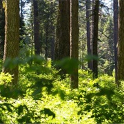 Emigrant Springs State Heritage Area, Oregon