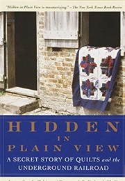 Hidden in Plain View: A Secret Story of Quilts and the Underground Railroad (Jacqueline L. Tobin and Raymond G. Dobard, Phd)