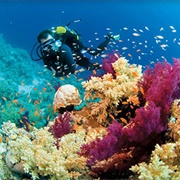 Diving Around Saba