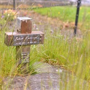 Patrick Kavanagh Country, Co. Monaghan