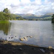 Go Open Water Swimming