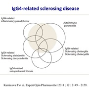 Igg4-Related Sclerosing Disease