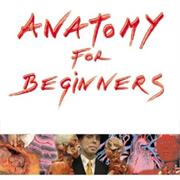 Anatomy for Beginners