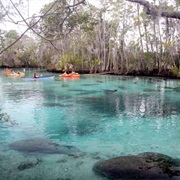 Crystal River Fl