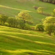 Be With My Girlfriend Alone in Her Backyard