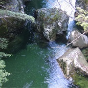 Greenston-Caples Circuit