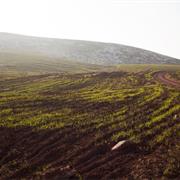 West Bank, Palestinian Authority