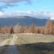 Disautel, Washington