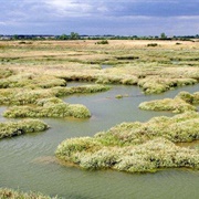 Blackwater Estuary National Nature Reserve
