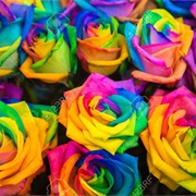 Make Rainbow Flowers