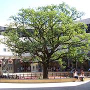 Thecentre:Mk, Milton Keynes