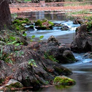 Honey Creek State Natural Area, Texas