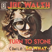 Joe Walsh - Turn to Stone