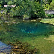 Magnolia Springs State Park, Georgia