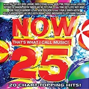 Various Artists - Now That's What I Call Music! 25