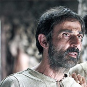 Pulverulentus Siccus