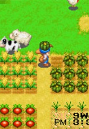 Harvest Moon: Friends of Mineral Town (2003)