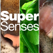 Super Senses