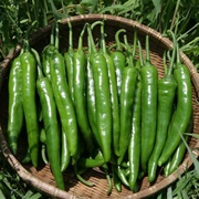 Cheongyang Chili Pepper