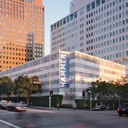 Hammer Museum