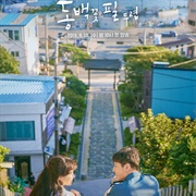 When the Camellia Blooms