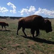 Harmony Peak, South Dakota