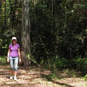 Venman Bushland National Park (QLD)