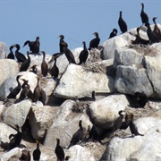 Mille Lacs National Wildlife Refuge