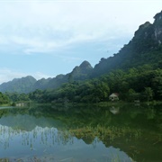 Cuc Phuong National Park