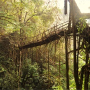 Rangthylliang 1 Root Bridge