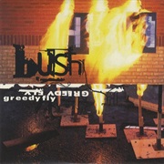 Bush - Greedy Fly