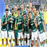 Chapecoense Football Team