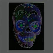 Sugar Skull