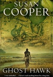 Ghost Hawk (Susan Cooper)