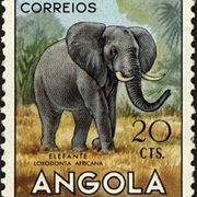 Angola Stamp