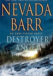 Destroyer Angel (Nevada Barr)