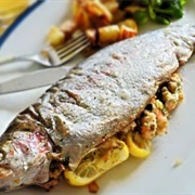 Ohrid Trout